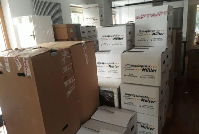 Labor Umzug preise erfahren in Netzschkau